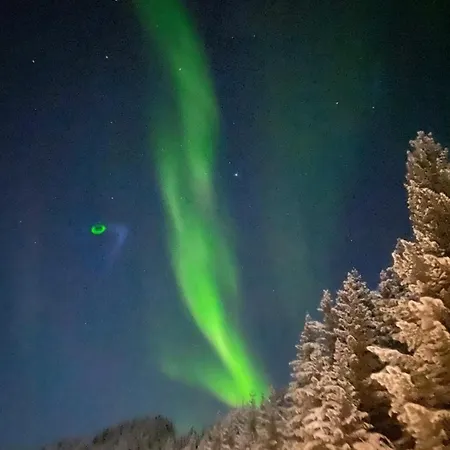 Asplund Sortland